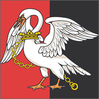 Buckinghamshire County Darts Logo